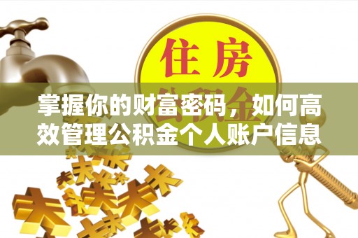 沂源掌握你的财富密码，如何高效管理公积金个人账户信息