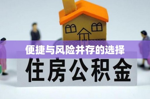 沂源便捷与风险并存的选择